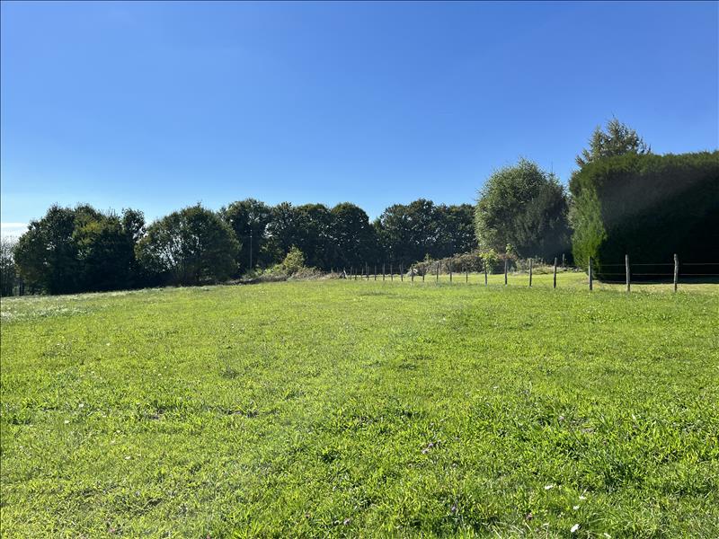 Vente Terrain ST JULIEN LE PELERIN - -3500 m² - (19430)