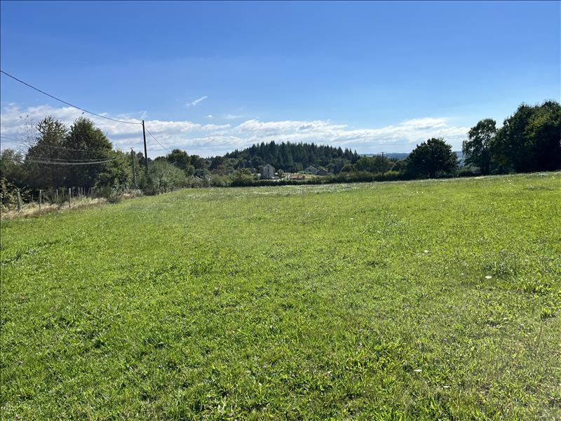Vente Terrain ST JULIEN LE PELERIN - -3500 m² - (19430)