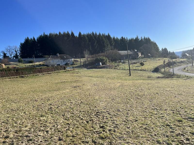 Vente Terrain NEUVILLE - -2956 m² - (19380)