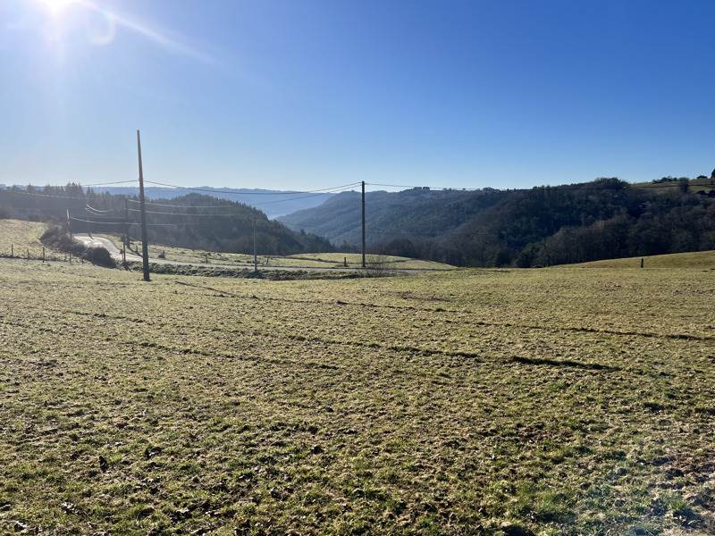 Vente Terrain NEUVILLE - -2956 m² - (19380)