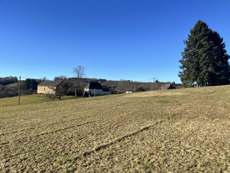 Vente Terrain NEUVILLE - -2956 m² - (19380)