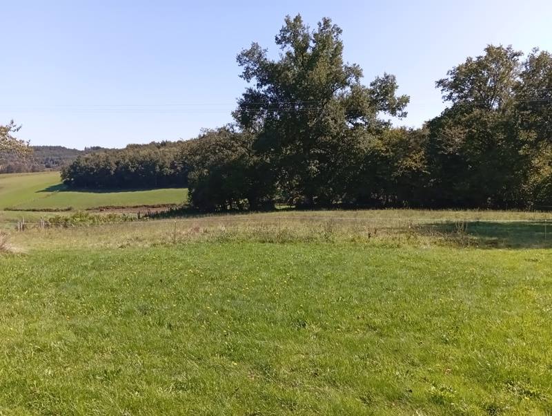 Vente Maison SEXCLES - 4 pièces -81 m² - (19430)