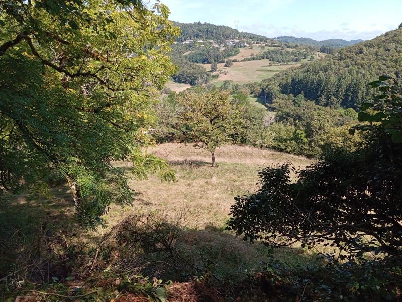 Vente Maison ARGENTAT SUR DORDOGNE - 8 pièces -330 m² - (19400)