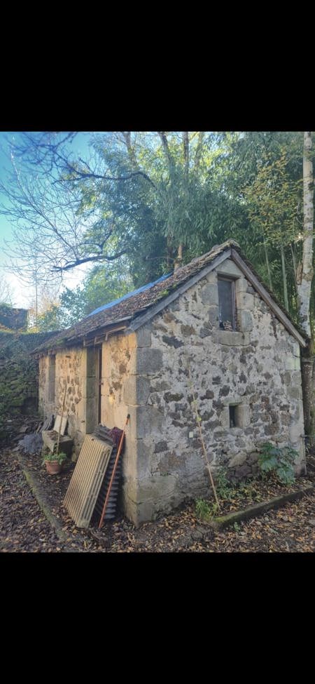 Vente Maison ARGENTAT SUR DORDOGNE - 8 pièces -330 m² - (19400)