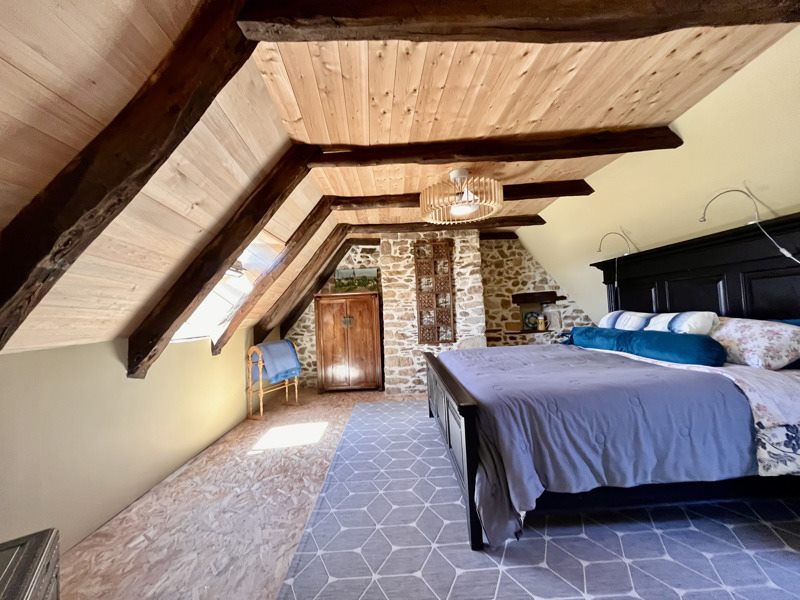 Vente Maison ST BONNET ELVERT - 22 pièces -400 m² - (19380)