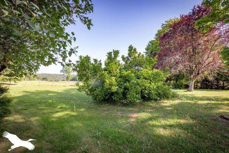 Vente Maison ST JULIEN AUX BOIS - 11 pièces -193 m² - (19220)