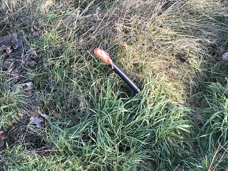 Vente Terrain ARGENTAT SUR DORDOGNE - -876 m² - (19400)