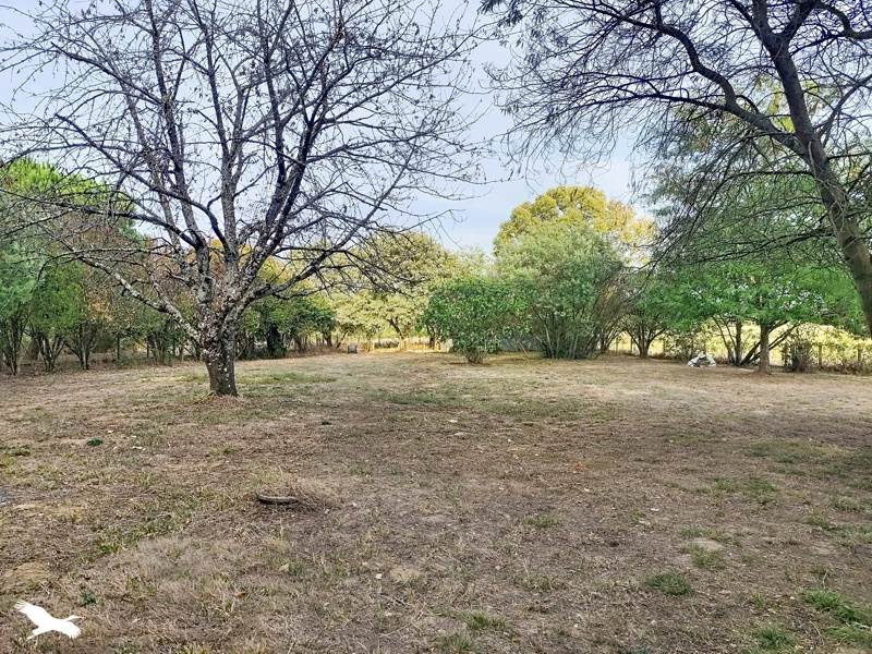 Vente Maison Larra - 6 pièces -113 m² - (31330)