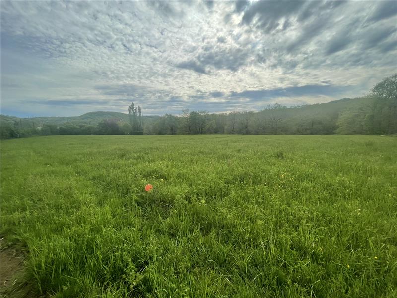 Vente Terrain FAYCELLES - -9074 m² - (46100)