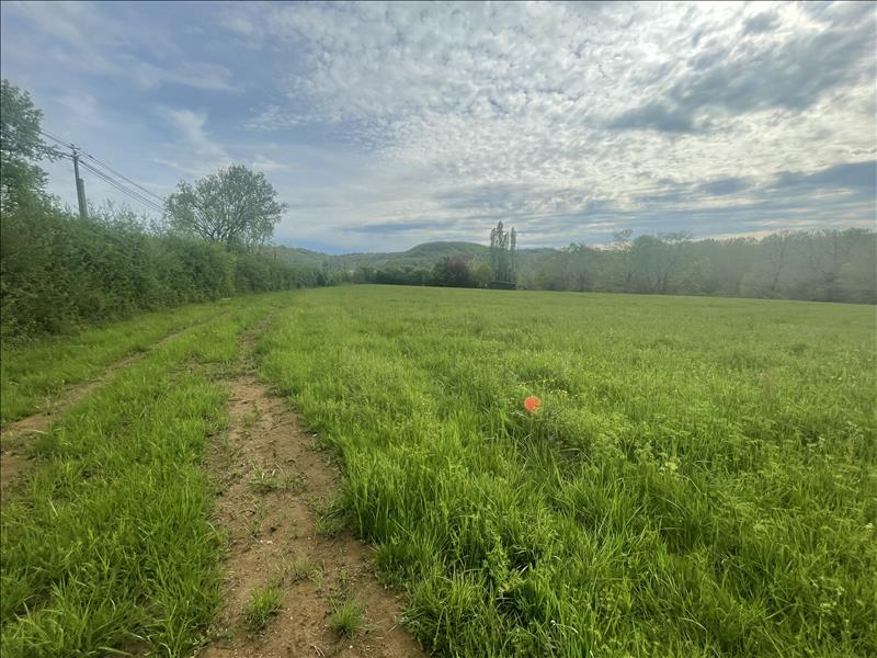Vente Terrain FAYCELLES - -9074 m² - (46100)