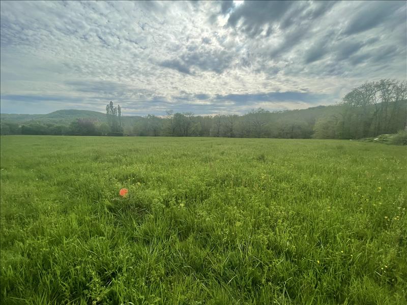 Vente Terrain FAYCELLES - -9074 m² - (46100)