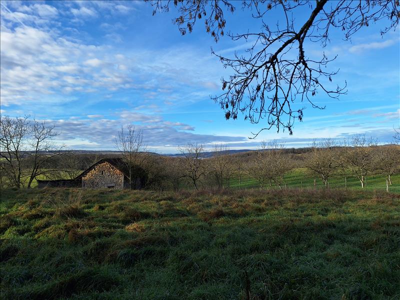 Vente Grange CAUSSE ET DIEGE - -174 m² - (12700)