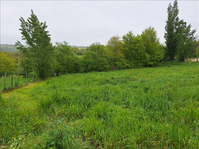 Vente Terrain PEYRUSSE LE ROC - -1134 m² - (12220)