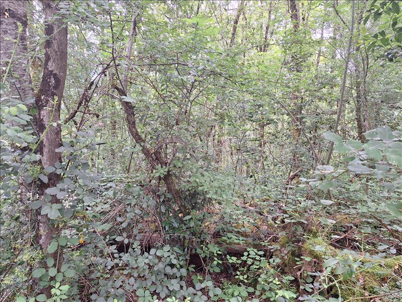 Vente Terrain ASPRIERES - -13928 m² - (12700)