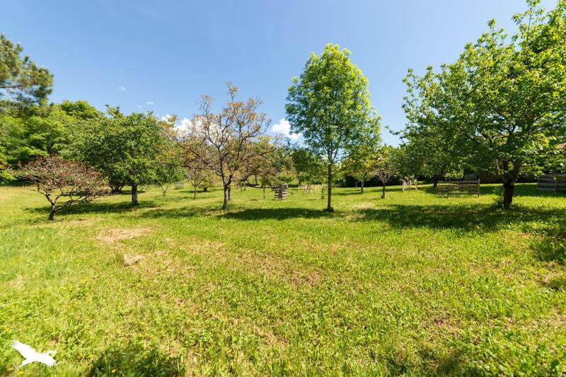 Vente Maison MONTCLERA - 4 pièces -76 m² - (46250)