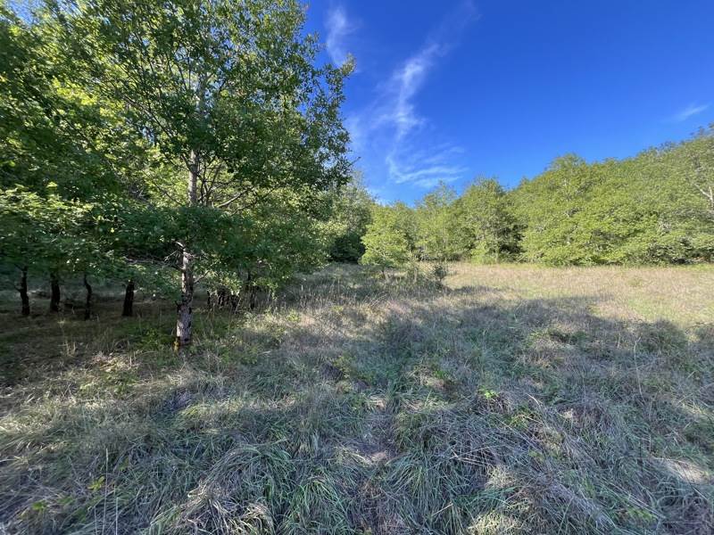 Vente Terrain CAZALS - -4700 m² - (46250)