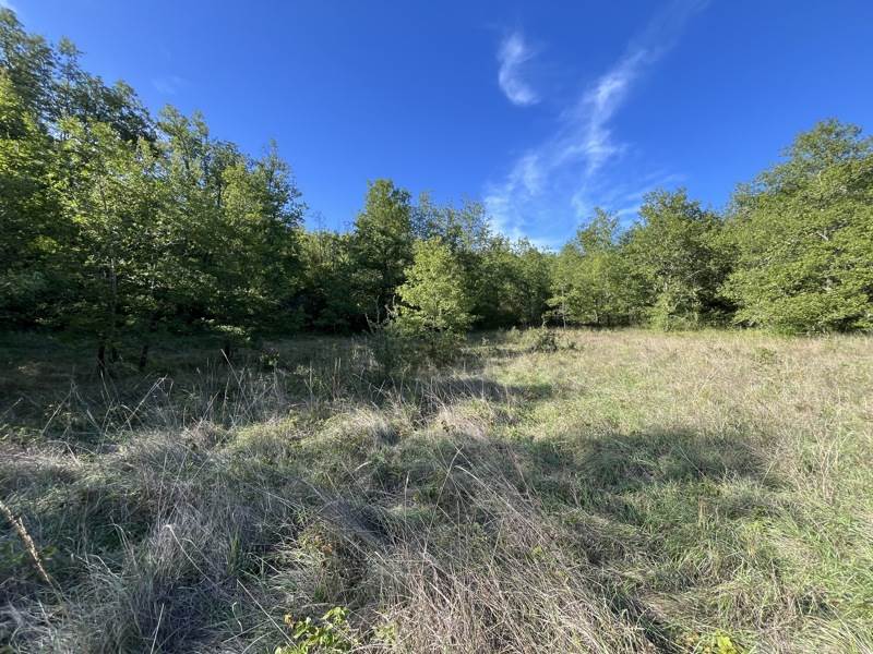 Vente Terrain CAZALS - -4700 m² - (46250)