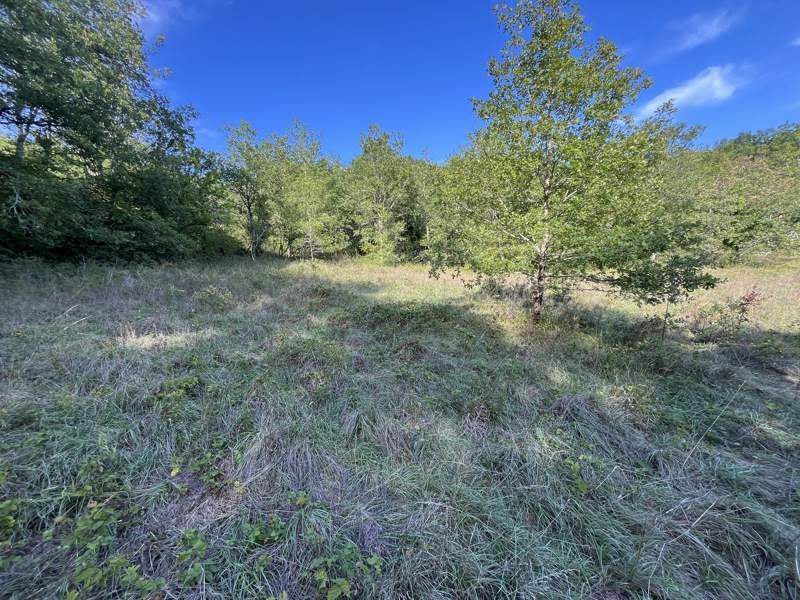 Vente Terrain CAZALS - -4700 m² - (46250)