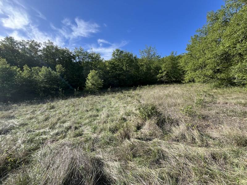 Vente Terrain CAZALS - -4700 m² - (46250)