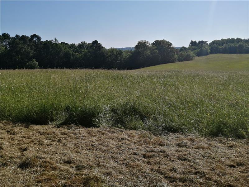 Vente Maison VILLEFRANCHE DU PERIGORD - 3 pièces -54 m² - (24550)