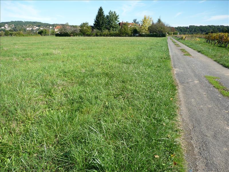 Vente Terrain PUY L EVEQUE - -10440 m² - (46700)
