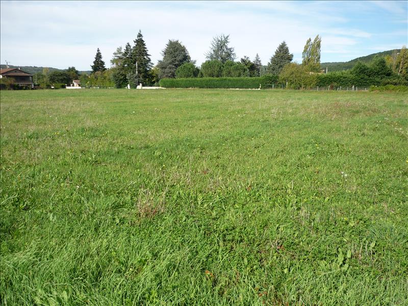 Vente Terrain PUY L EVEQUE - -10440 m² - (46700)
