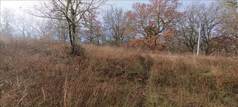 Vente Terrain ALBAS - -2391 m² - (46140)