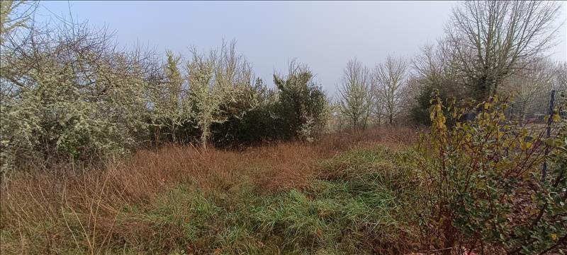 Vente Terrain ALBAS - -2391 m² - (46140)