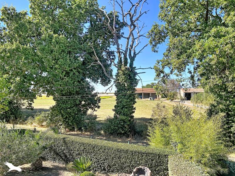 Vente Appartement Mondonville - 3 pièces -56 m² - (31700)