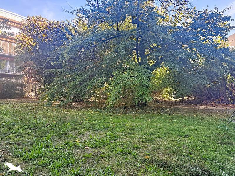 Vente Appartement Toulouse - 4 pièces -88 m² - (31000)