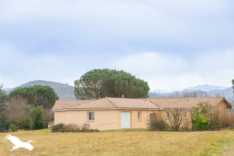 Vente Maison MONTREJEAU - 8 pièces -225 m² - (31210)