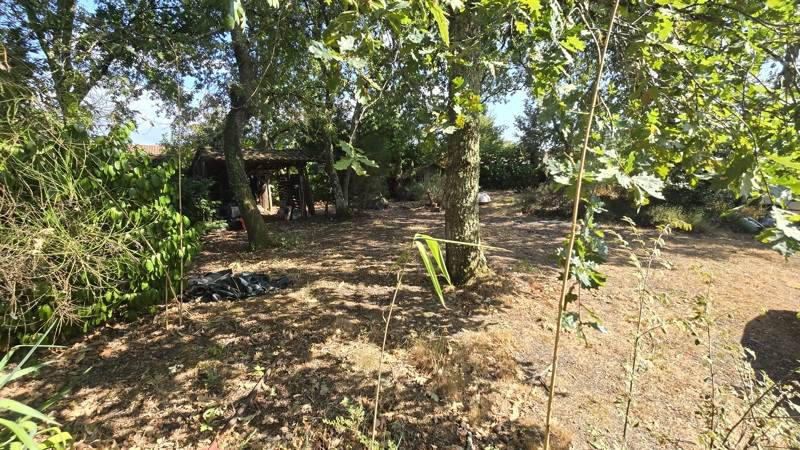 Vente Terrain ST JEAN D ILLAC - -843 m² - (33127)