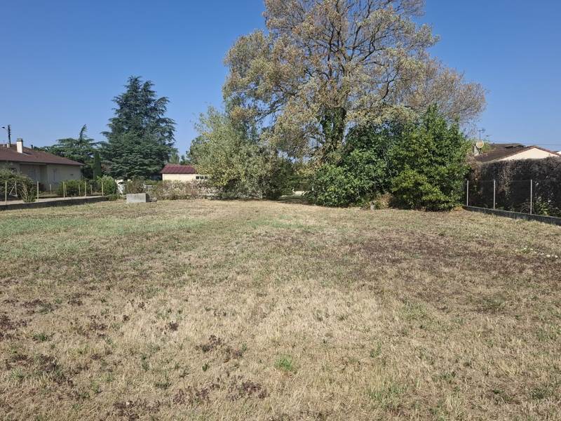 Vente Terrain REVEL - -967 m² - (31250)