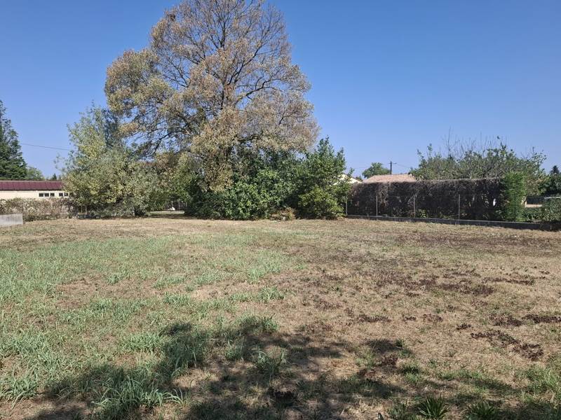 Vente Terrain REVEL - -967 m² - (31250)
