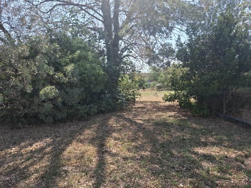 Vente Terrain REVEL - -967 m² - (31250)
