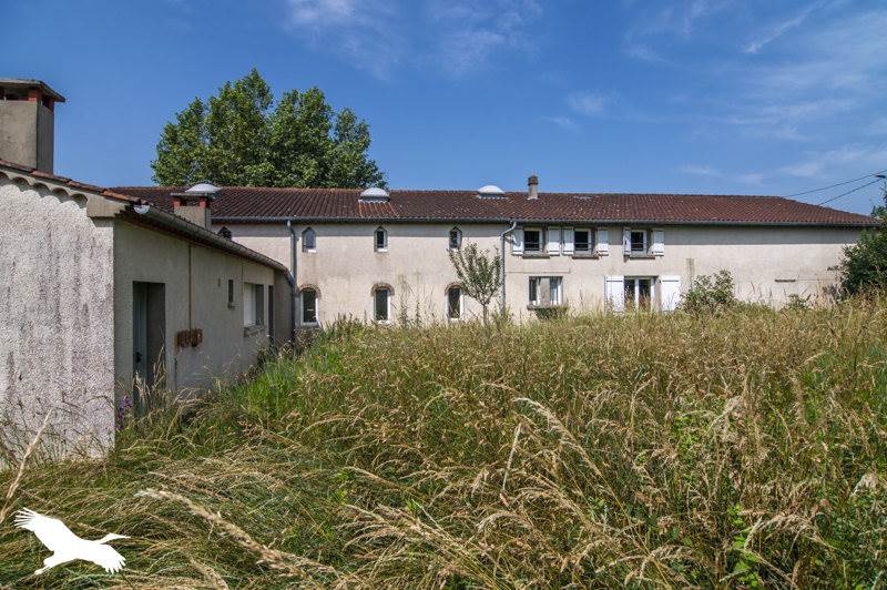Vente Maison DOURGNE - 40 pièces -505 m² - (81110)