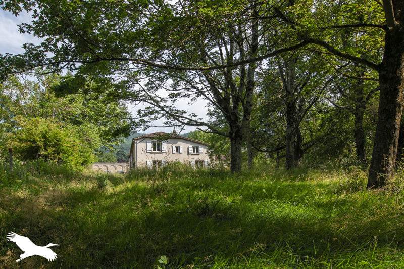 Vente Maison DOURGNE - 40 pièces -505 m² - (81110)