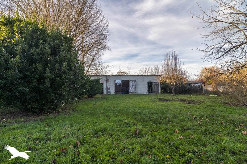 Vente Maison BLAN - 5 pièces -131 m² - (81700)