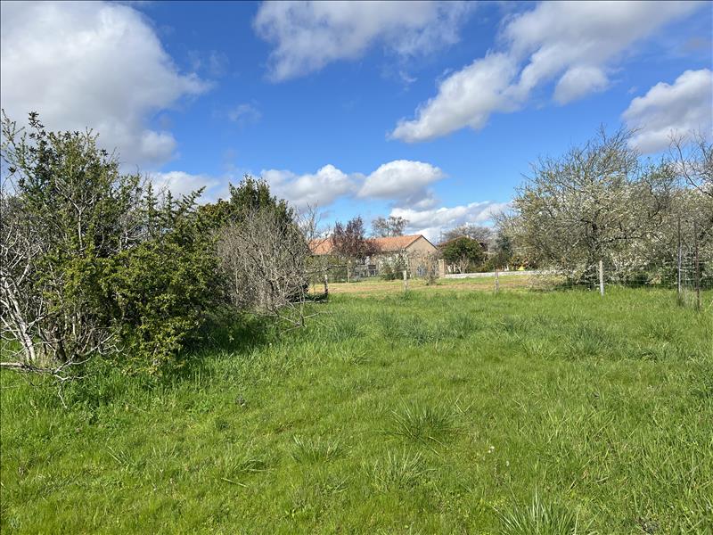 Vente Terrain à bâtir PLAISANCE DU TOUCH - -415 m² - (31830)