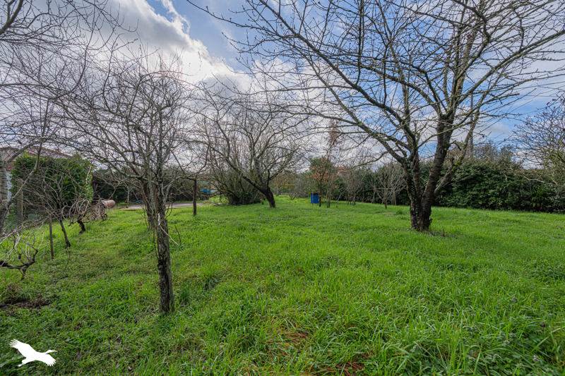 Vente Maison PLAISANCE DU TOUCH - 3 pièces -95 m² - (31830)