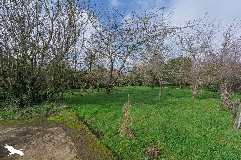 Vente Maison PLAISANCE DU TOUCH - 3 pièces -95 m² - (31830)