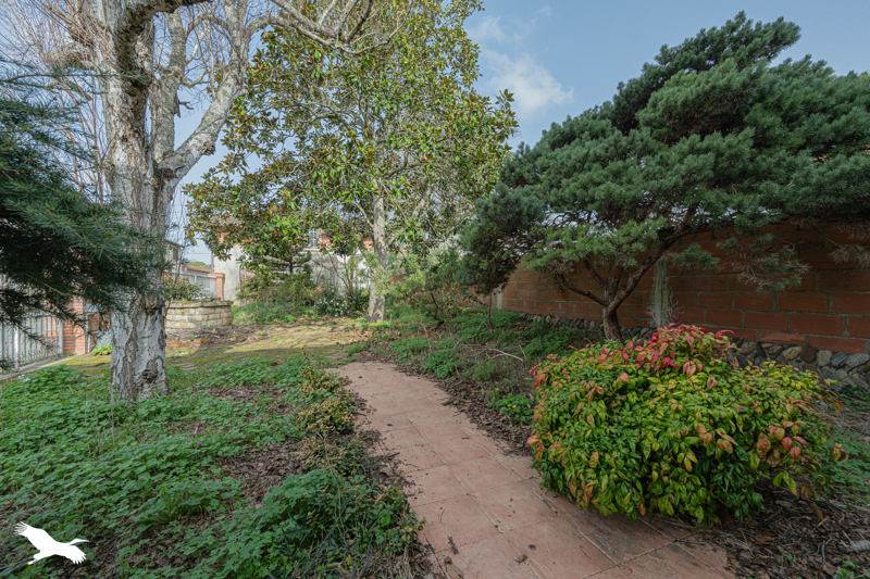 Vente Maison PLAISANCE DU TOUCH - 6 pièces -203 m² - (31830)