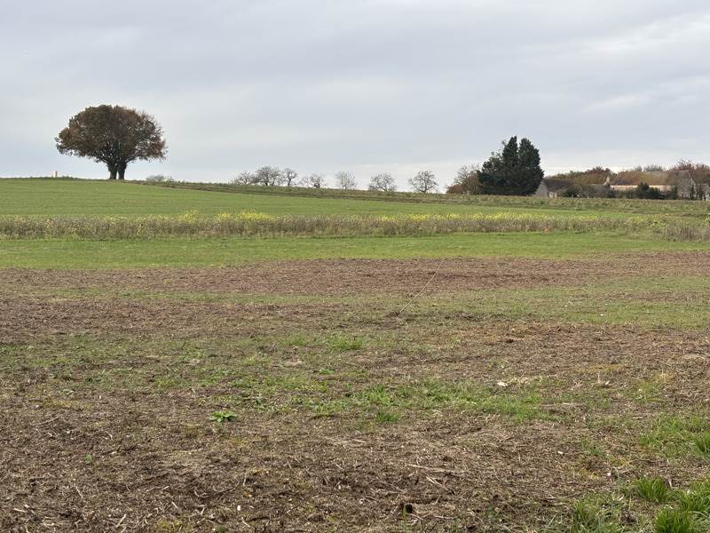 Vente Terrain LURY SUR ARNON - -1783 m² - (18120)