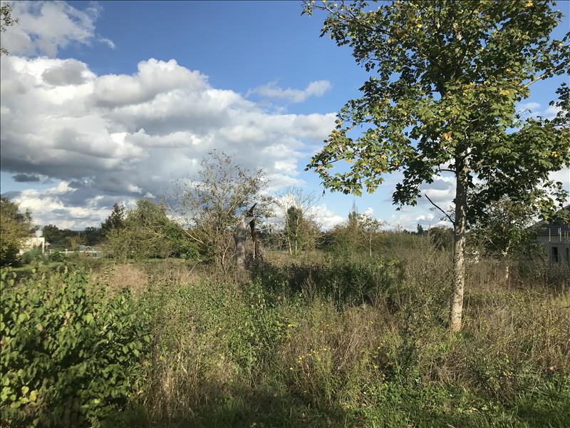 Vente Terrain MEHUN SUR YEVRE - -1630 m² - (18500)