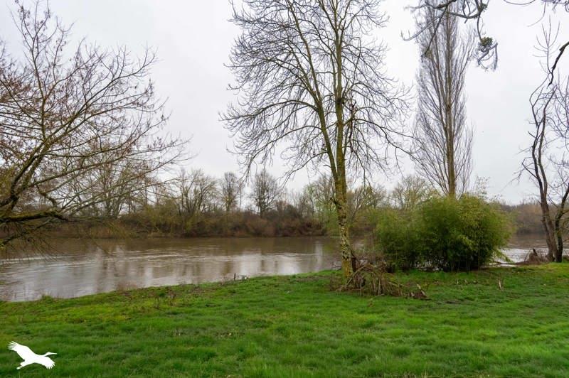 Vente Maison STE THORETTE - 7 pièces -145 m² - (18500)