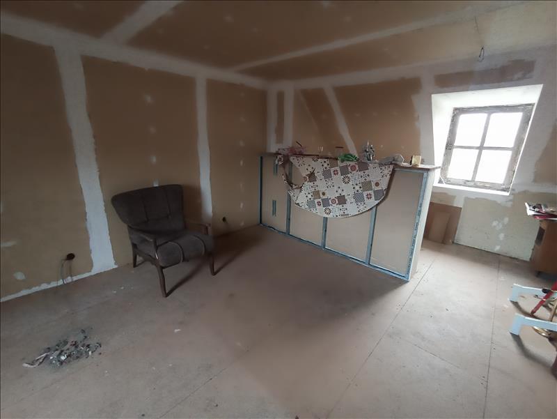 Vente Maison MEHUN SUR YEVRE - 11 pièces -250 m² - (18500)