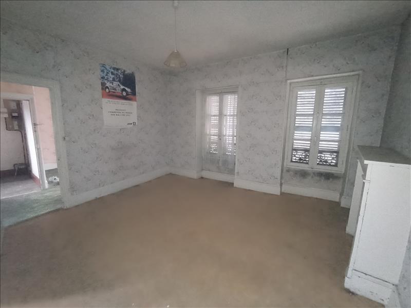 Vente Maison MEHUN SUR YEVRE - 11 pièces -250 m² - (18500)
