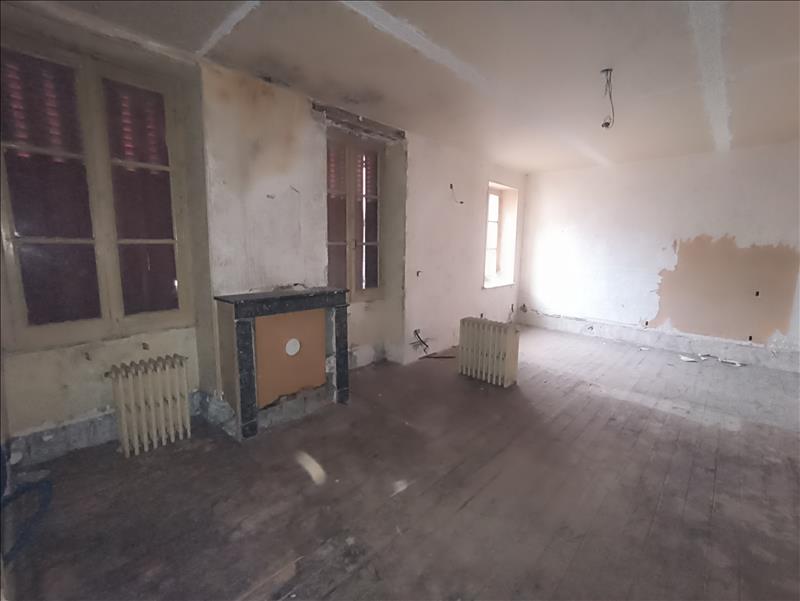 Vente Maison MEHUN SUR YEVRE - 11 pièces -250 m² - (18500)