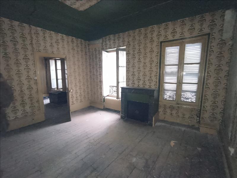 Vente Maison MEHUN SUR YEVRE - 11 pièces -250 m² - (18500)