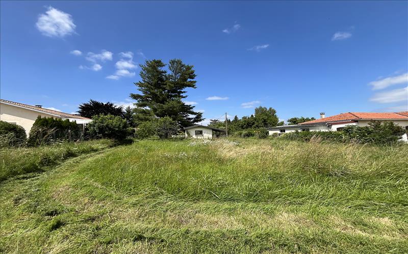 Vente Terrain POMPIGNAC 33370  946 m²